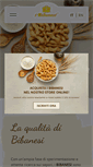 Mobile Screenshot of bibanesi.com